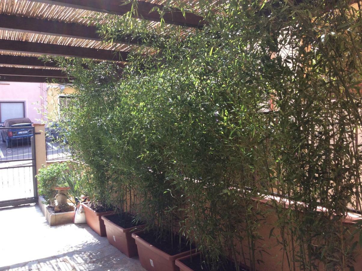 לינה וארוחת בוקר וילסימיוס Casa Tacconi מראה חיצוני תמונה